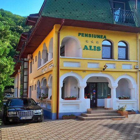 Pensiunea Alis Călimăneşti Exterior foto