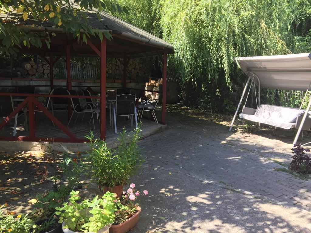 Pensiunea Alis Călimăneşti Exterior foto