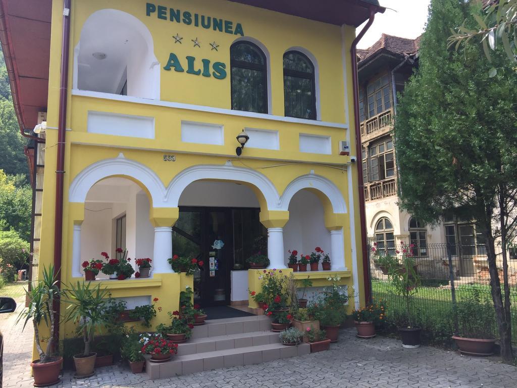 Pensiunea Alis Călimăneşti Exterior foto