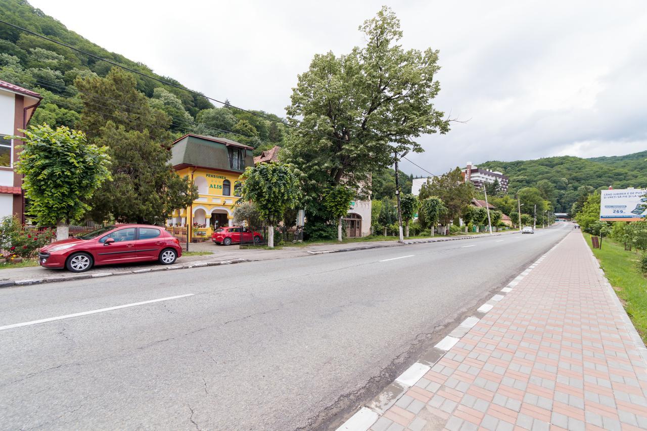 Pensiunea Alis Călimăneşti Exterior foto