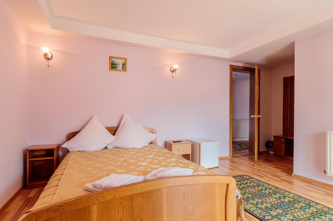 Pensiunea Alis Călimăneşti Exterior foto