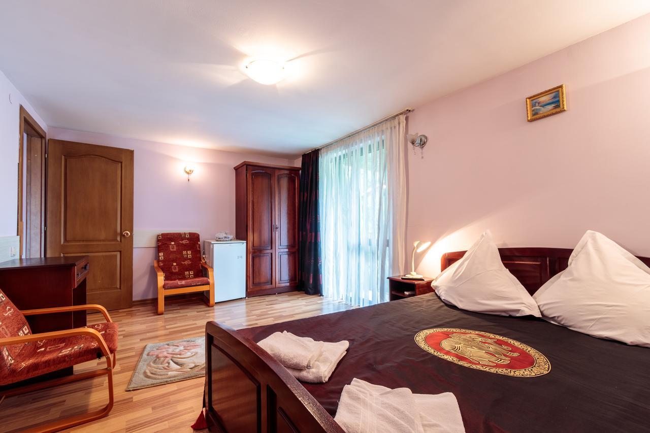 Pensiunea Alis Călimăneşti Exterior foto