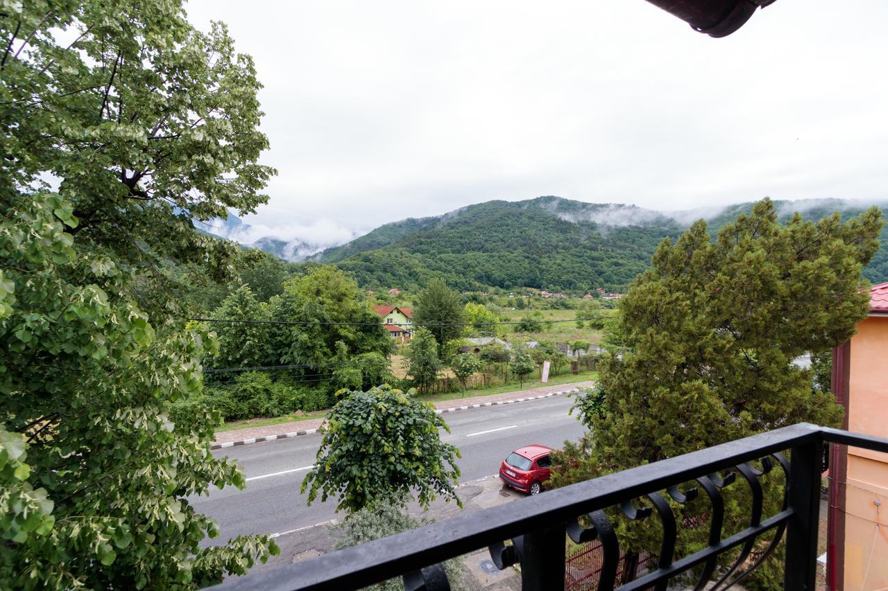 Pensiunea Alis Călimăneşti Exterior foto